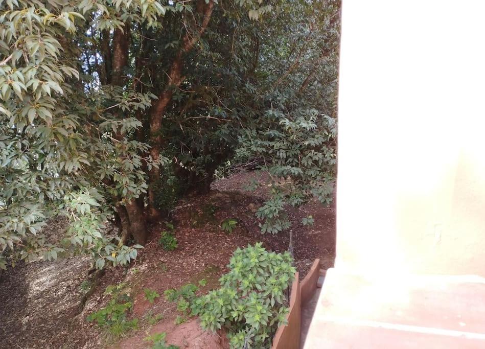 Chinamada Monte Verde מראה חיצוני תמונה