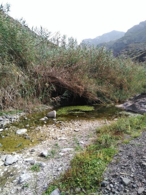 Chinamada Monte Verde מראה חיצוני תמונה