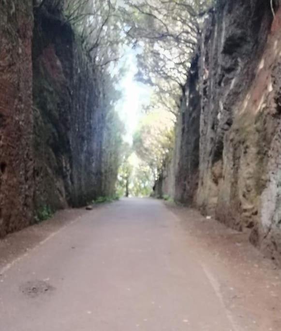 Chinamada Monte Verde מראה חיצוני תמונה
