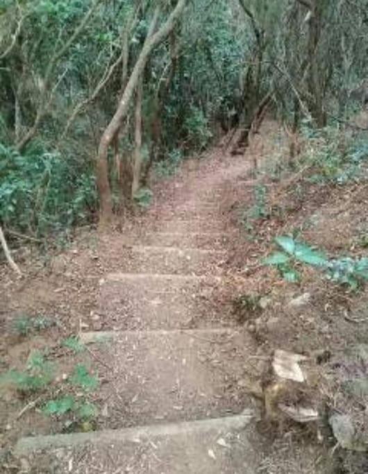 Chinamada Monte Verde מראה חיצוני תמונה