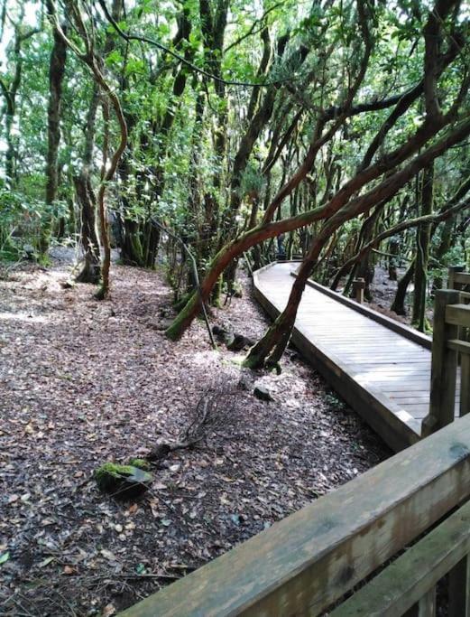 Chinamada Monte Verde מראה חיצוני תמונה